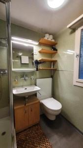 a small bathroom with a toilet and a sink at Chalet Hüsli in Giswil
