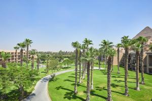 eine Luftansicht auf einen Park mit Palmen in der Unterkunft Marriott Mena House, Cairo in Kairo