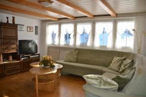 ein Wohnzimmer mit einem Sofa und einem TV in der Unterkunft Breiten in Brunnadern
