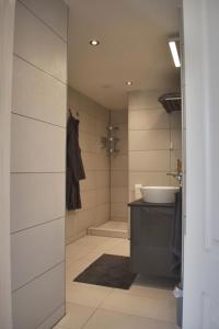 ein Bad mit einem Waschbecken und einer Dusche in der Unterkunft Pension Het Pakhuys in Zierikzee