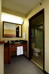 Ένα μπάνιο στο Hyatt Place Dallas Las Colinas +27 φωτογραφίες