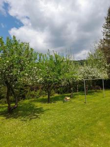 un campo con árboles y un gol de fútbol en Agroturystyka Stokrotka en Rymanów-Zdrój