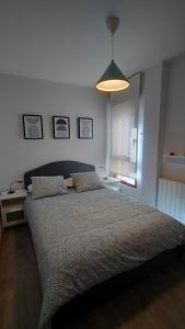 1 dormitorio con 1 cama grande y luz colgante en Peñas de Arnedillo, en Arnedillo