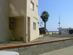 a building with a palm tree in front of the ocean at Valentina Platja in Sant Antoni de Calonge +5 photos