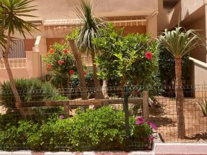 un jardin avec des fleurs et des plantes devant un bâtiment dans l'établissement Coqueto y acogedor apartamento con piscina, à Roquetas de Mar