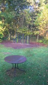 einen Picknicktisch im Gras in einem Park in der Unterkunft maison bois in Ruaudin