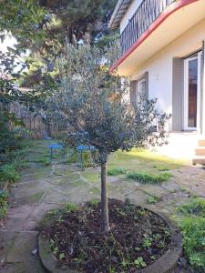 Fotografia z galérie ubytovania Chez Annie appartement familial avec jardin et garage v destinácii Sète