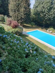 uma piscina num jardim com flores azuis em Il giardino di Raffaella em Montorfano