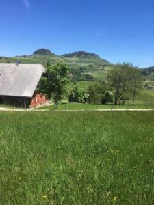 une grange rouge dans un champ d'herbe verte dans l'établissement Guggershörnliblick, à Guggisberg