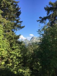 a view of the mountains through the trees at Guggershörnliblick in Guggisberg