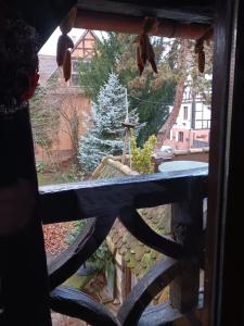Una ventana con vistas a un árbol de Navidad en maison Alsacienne du 18eme siècles, en Brumath