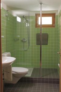 baño de azulejos verdes con ducha y aseo en Maiensäss La Scera Val Poschiavo, 