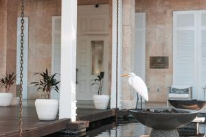a white bird standing in a bird bath on a porch at St. Regis Bahia Beach Resort, Puerto Rico in Rio Grande