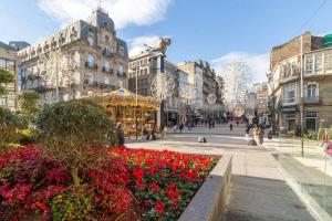 ulica w mieście z kwiatami i karuzelą w obiekcie Premium Suite, Puerta del Sol w mieście Vigo