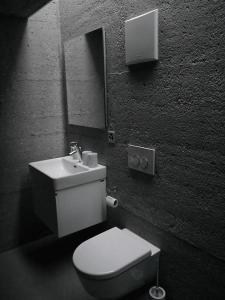 W łazience znajduje się toaleta, umywalka i lustro. w obiekcie Mayen à Etienne w mieście Haudères