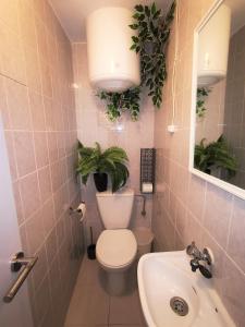 uma casa de banho com WC, lavatório e plantas em "Rooftop One" jacuzzi - plein sud - 2 chambres sur les canaux em Empuriabrava