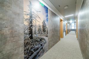 Fotografia z galérie ubytovania Apartamenty na Uroczysku v destinácii Szklarska Poręba