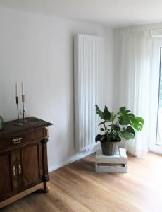 um quarto com uma mesa e um vaso de plantas em Appartement Gensungen em Felsberg