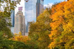 Blick auf die Skyline der Stadt mit Wolkenkratzern in der Unterkunft JW Marriott Essex House New York in New York