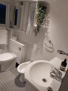 Baño blanco con lavabo y aseo en Private Garden Lodge in Christchurch, Dorset for 4 - dogs welcome! en Holdenhurst