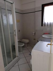 a bathroom with a shower and a toilet and a sink at Le Canne Apt 1 in San Teodoro