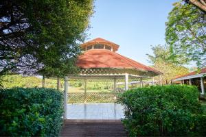 Сад в The Westin Reserva Conchal, an All-Inclusive Golf Resort & Spa