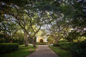 Сад в The Westin Reserva Conchal, an All-Inclusive Golf Resort & Spa
