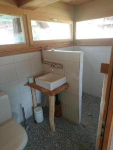 a small bathroom with a sink and a toilet at Raccard de Seppec in La Forclaz