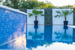 a swimming pool with palm trees reflected in the water at Stella Guesthouse in Ulcinj