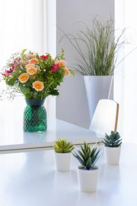 a vase of flowers on a table with potted plants at Hotel De Belgique à Menton in Menton