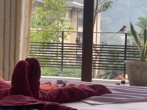 een persoon die op een bed ligt en uit een raam kijkt bij Kandy IVY Banks Holiday Resort in Kandy