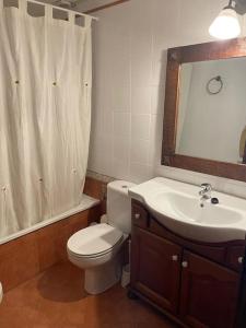 uma casa de banho com um WC, um lavatório e um espelho. em Apartamento familiar en Benasque em Eriste