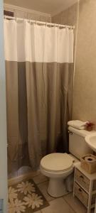 a bathroom with a toilet and a shower curtain at Acogedor Apartamento, rodeado de Naturaleza y Mar. in Puerto Montt