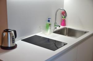諾阿萊的住宿－CA MATTA luxury and relax，厨房柜台设有水槽和搅拌机