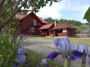 una casa con flores púrpuras delante de ella en Котеджі Мелодія Карпат en Slavske