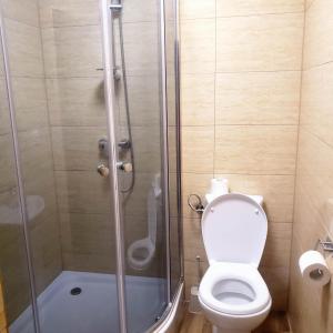 a bathroom with a toilet and a glass shower at U Huraja in Groń