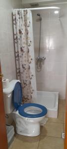 y baño con aseo y cortina de ducha. en MyR alojamientos 2 en Ushuaia