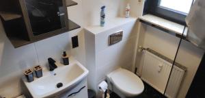 een kleine badkamer met een toilet en een wastafel bij Haus am See in Biersdorf
