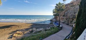 a beach with palm trees and the ocean at PLAYA RINCON De LA VICTORIA in Rincón de la Victoria