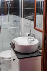 La salle de bains est pourvue d'un lavabo, d'une douche et de toilettes. dans l'établissement Tulipános Ház, à Bytom