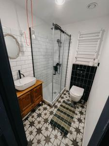 a bathroom with a shower and a toilet and a sink at Kosowisko in Miłki