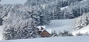 tornik studio zlatibor durante l'inverno