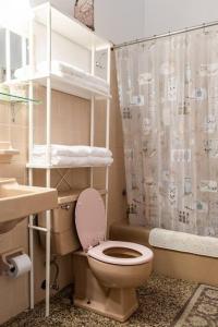 La salle de bains est pourvue de toilettes et d'un rideau de douche. dans l'établissement Cabin mountain view near Ponce slepts 8, à Ponce