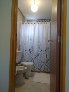 a bathroom with a toilet and a shower curtain at Jujuy 303 in San Miguel de Tucumán