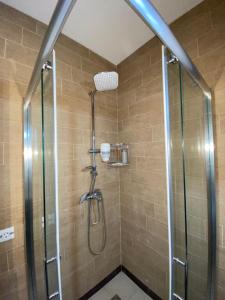 a shower with a glass door in a bathroom at Angela Apartment in Mavrovo