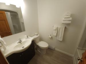 La salle de bains est pourvue d'un lavabo, de toilettes et d'un miroir. dans l'établissement Outdoorsman Motel, à Wawa