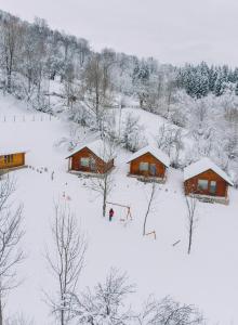 Complex turistic Traisteni din Valea Doftanei talvel