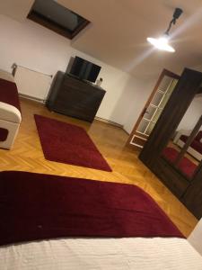 een woonkamer met twee rode tapijten op een houten vloer bij Casa la Raisa in Lupeni