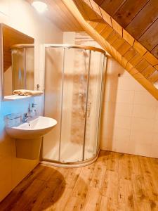 a bathroom with a shower and a sink at Chalupy Betlém Hlinsko in Hlinsko