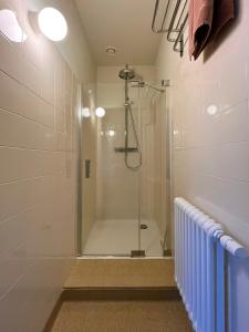 eine Dusche mit Glastür im Bad in der Unterkunft Villa Michaux in Hastière-par-delà
